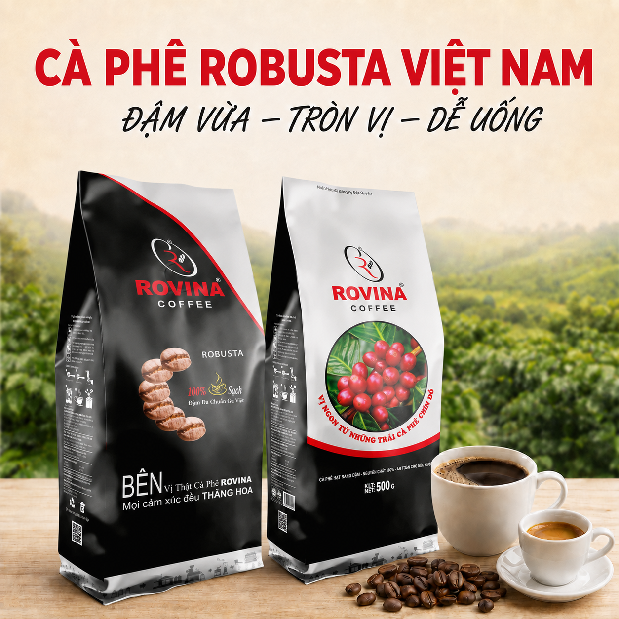 Cà phê Robusta Rovina Cà phê Robusta Rovina