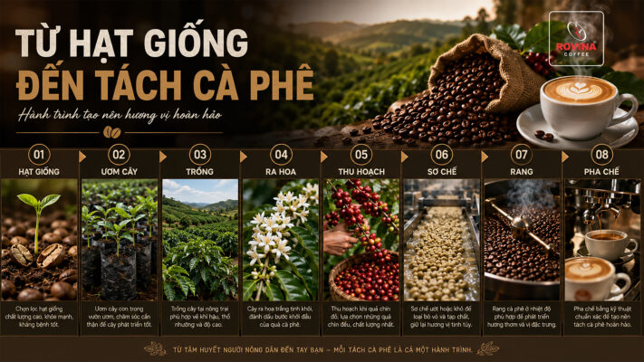 Cà Phê Là Gì? Hành Trình Từ Hạt Giống Đến Tách Cà Phê Hoàn Chỉnh