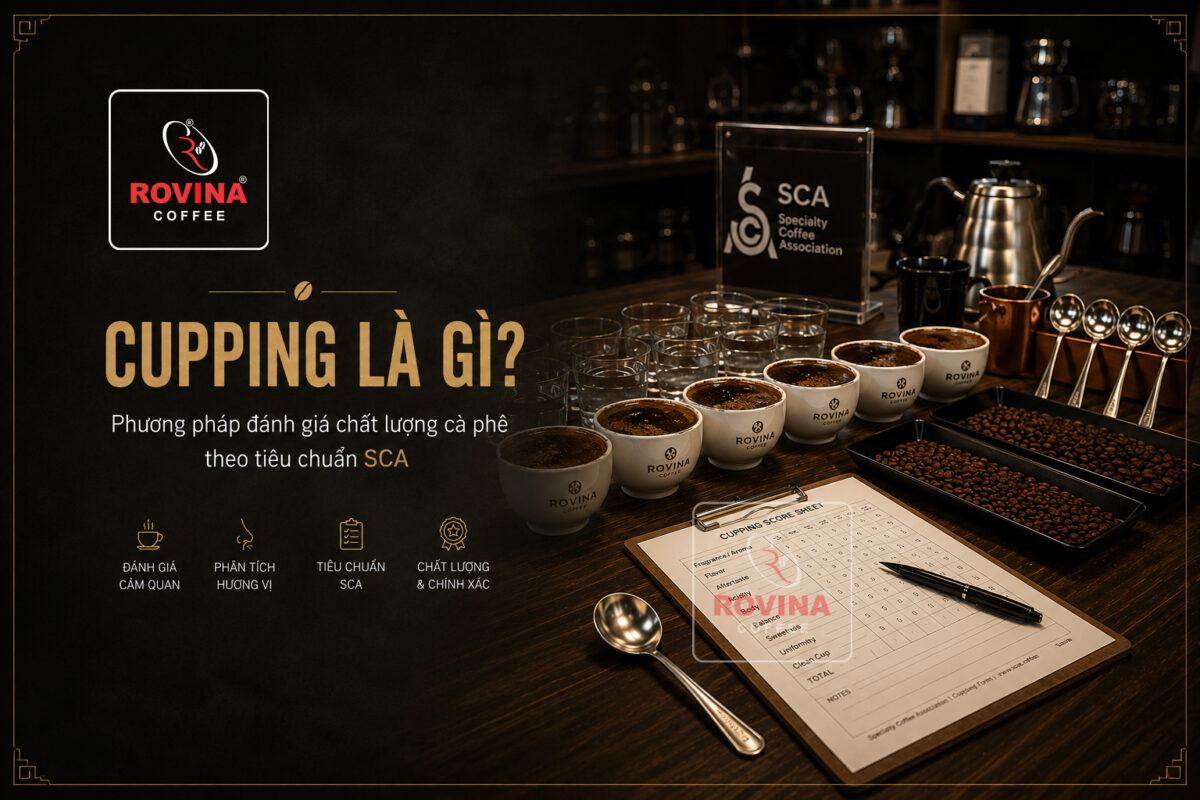 Cupping là gì