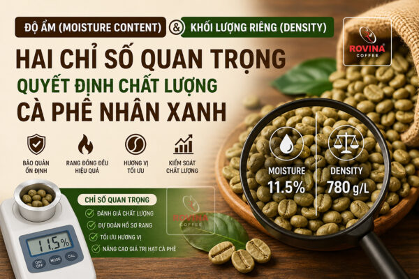 Độ ẩm cà phê nhân xanh rovina