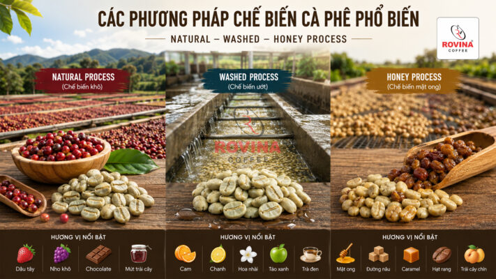 phương pháp chế biến cà phê