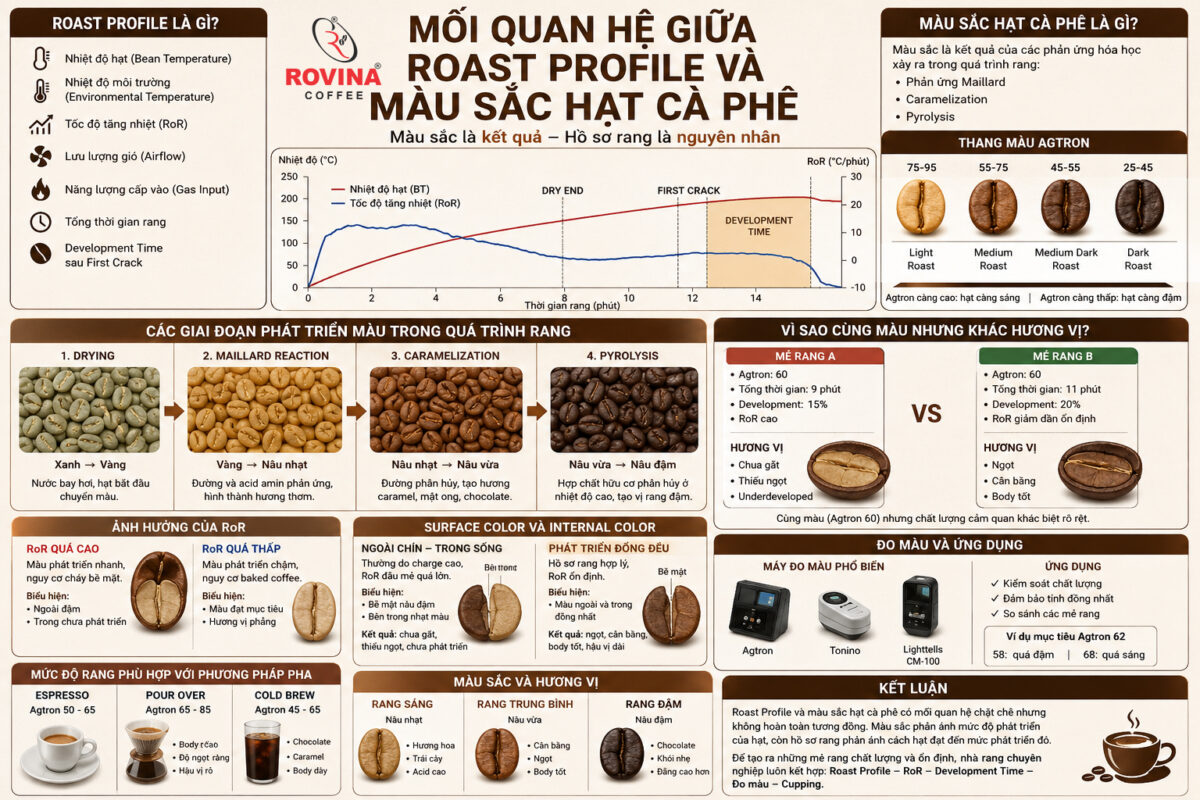 Mối quan hệ giữa Roast Profile và màu sắc hạt cà phê
