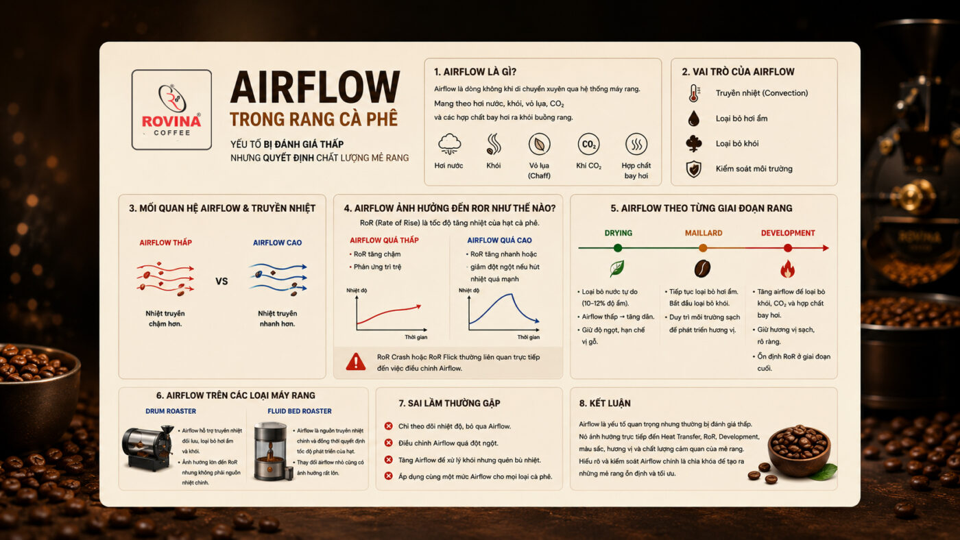 Airflow Trong Rang Cà Phê – Yếu Tố Bị Đánh Giá Thấp Nhưng Quyết Định Chất Lượng Mẻ Rang