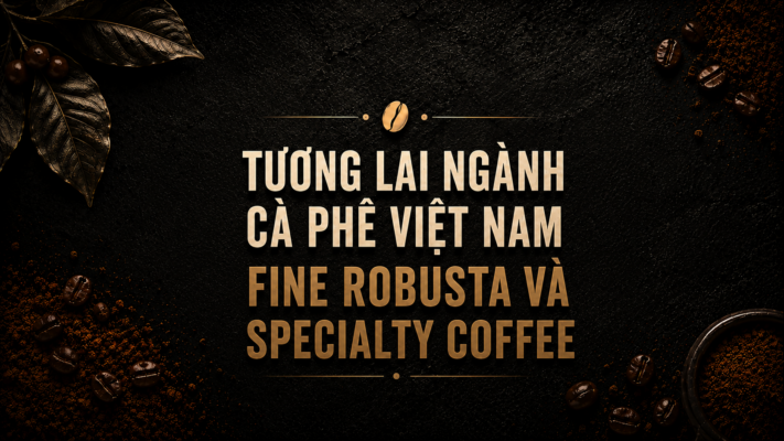 Tương lai ngành cà phê Việt Nam với Fine Robusta và Specialty Coffee